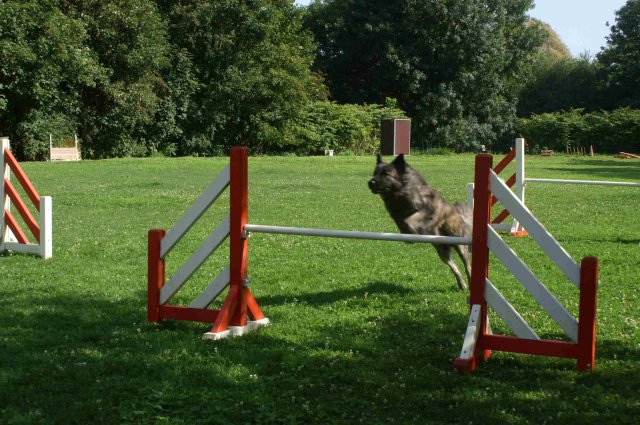 agility 2011-08